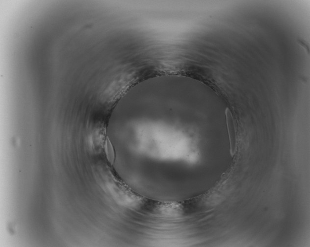 X0000102310576200808011605