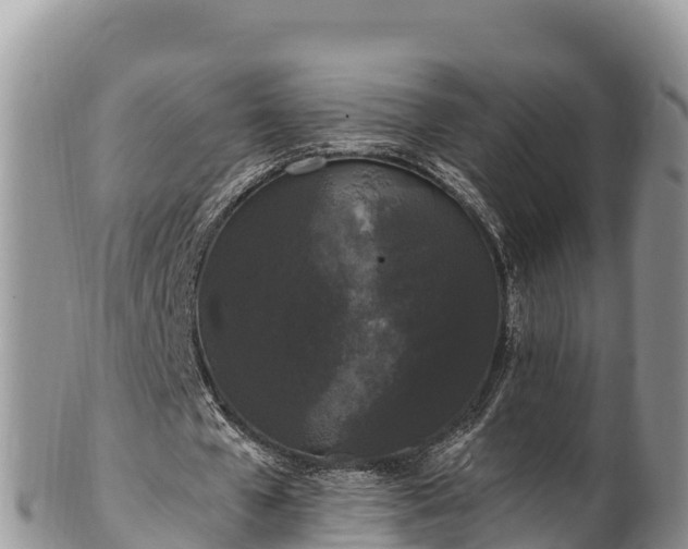 X0000102310577200808011605