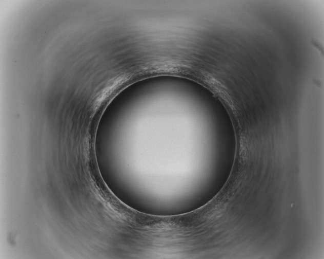 X0000102310578200808011605