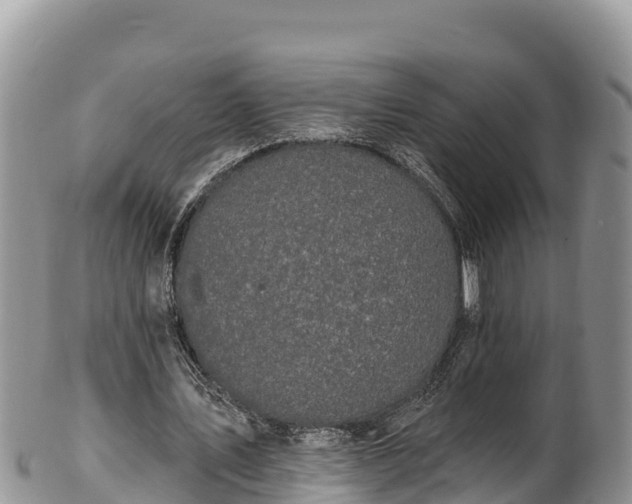 X0000102310579200808011605