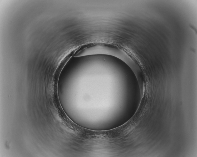 X0000102310580200808011605