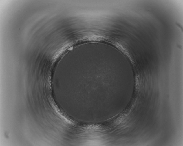 X0000102310581200808011605