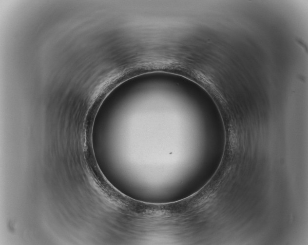 X0000102310582200808011605