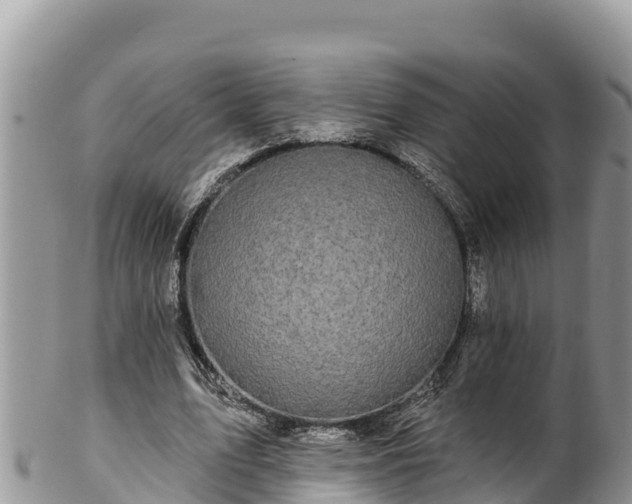 X0000102310583200808011605