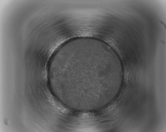 X0000102310584200808011605