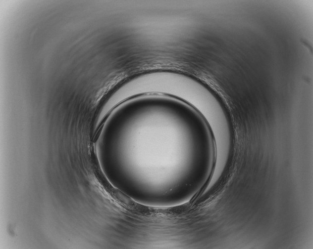 X0000102310585200808011605