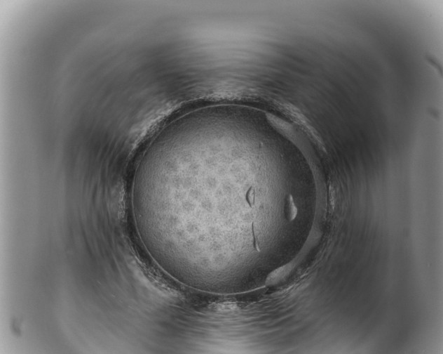 X0000102310588200808011604