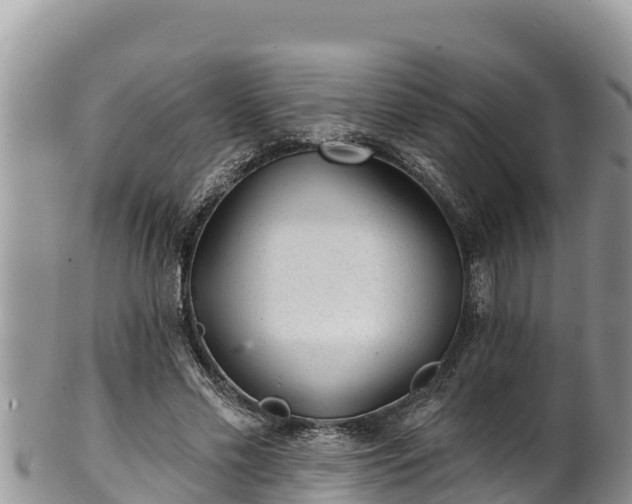 X0000102310589200808011604