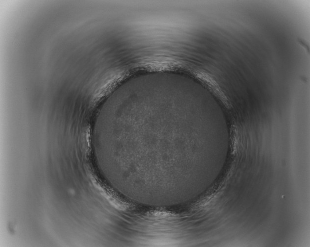 X0000102310590200808011604