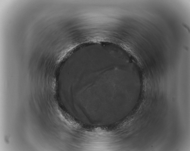 X0000102310592200808011604