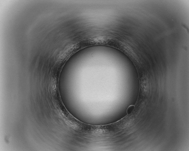 X0000102310593200808011604