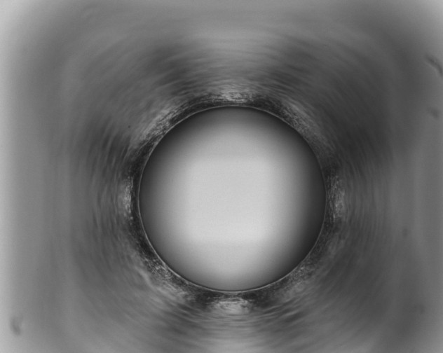 X0000102310595200808011604