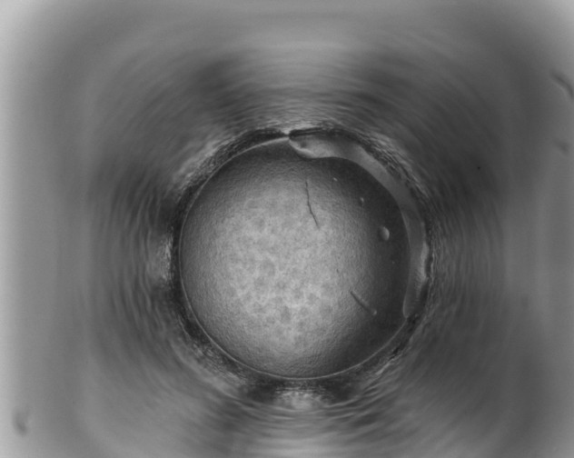 X0000102310596200808011604