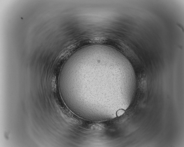 X0000102310599200808011604