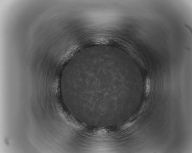 X0000102310600200808011604