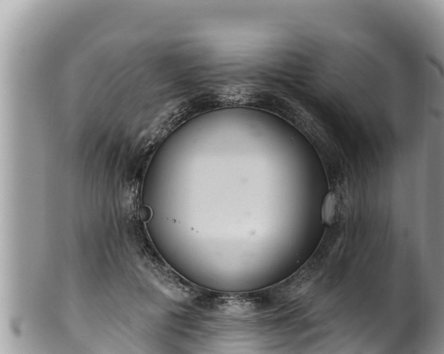 X0000102310601200808011604