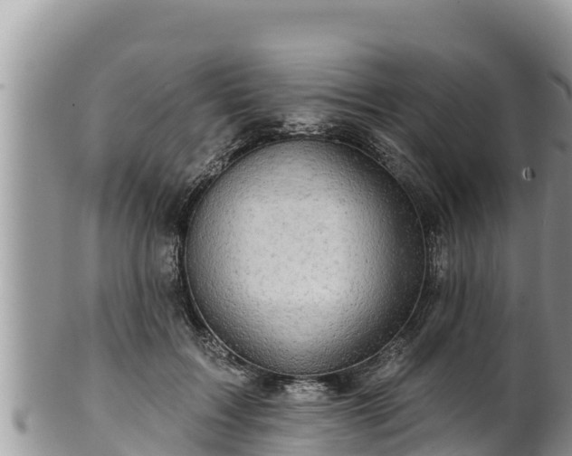 X0000102310603200808011604