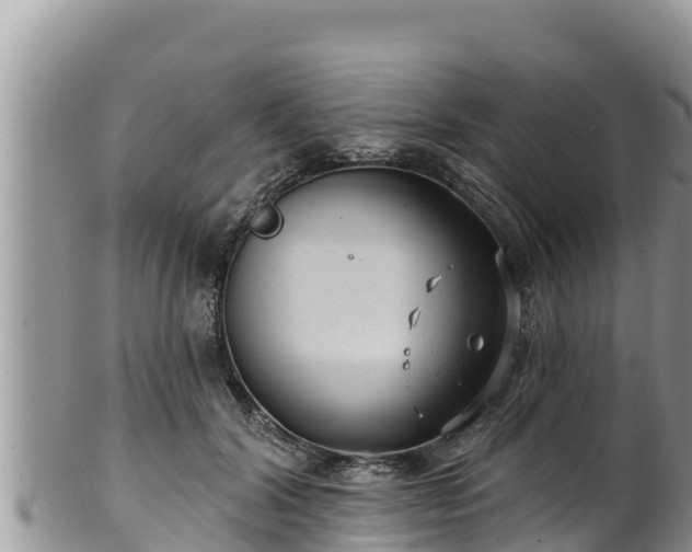 X0000102310604200808011604