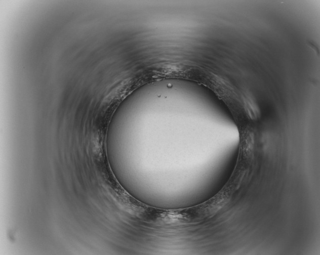 X0000102310607200808011604