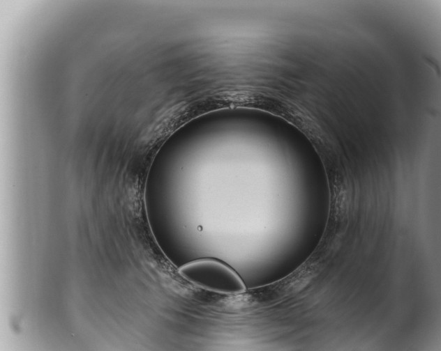 X0000102310609200808011604