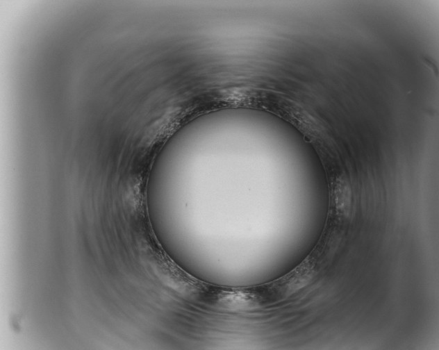 X0000102310611200808011604