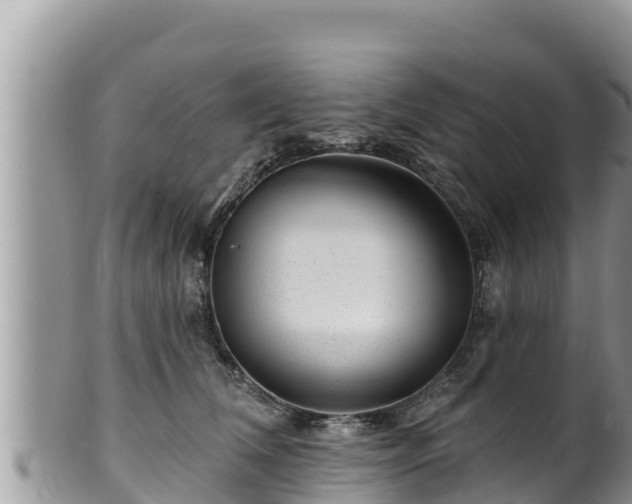 X0000102310612200808011604