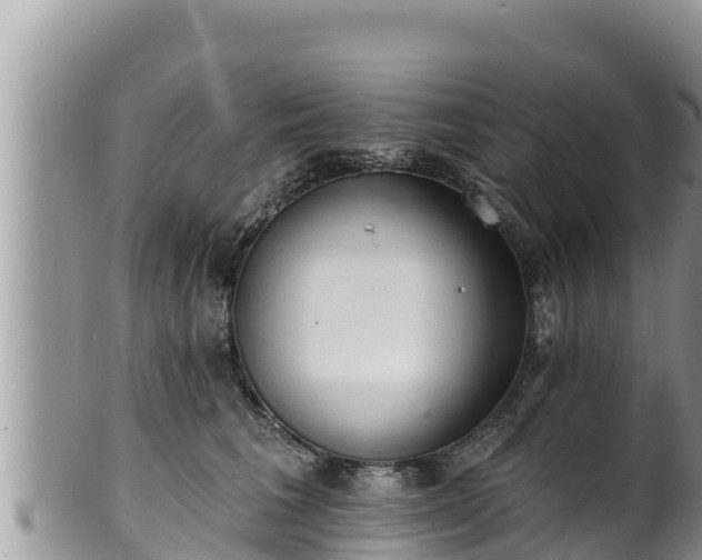 X0000102310613200808011604