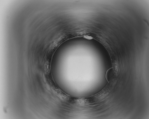 X0000102310615200808011604