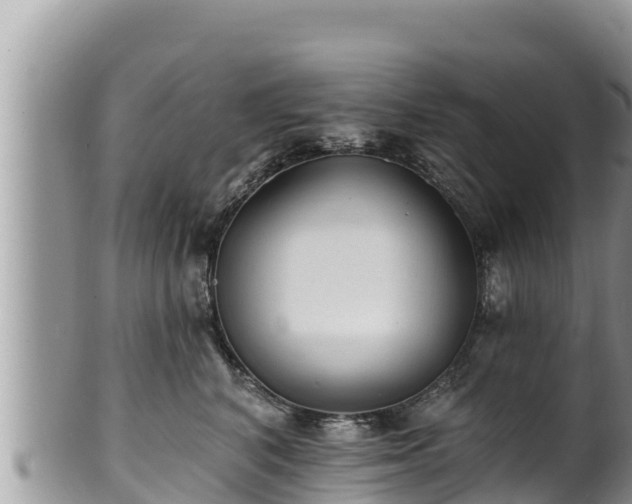 X0000102310616200808011604