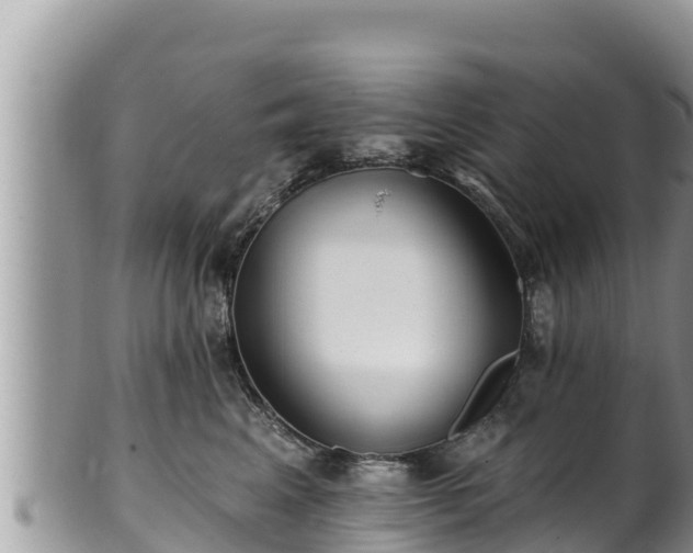 X0000102310617200808011604