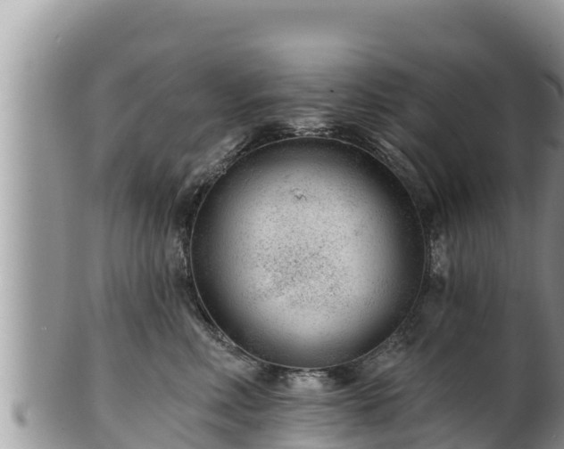 X0000102310618200808011604