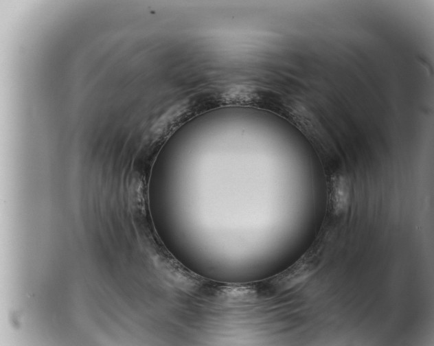 X0000102310619200808011604