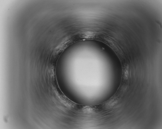 X0000102310620200808011604