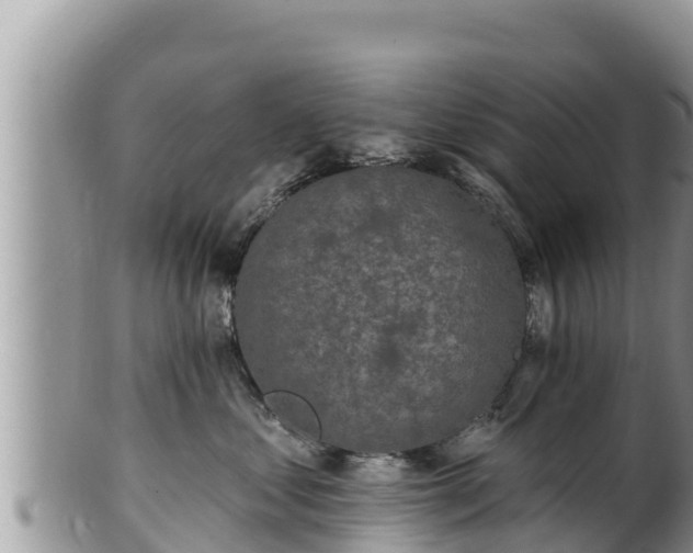 X0000102310621200808011604