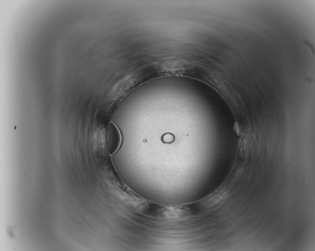 X0000102310623200808011604