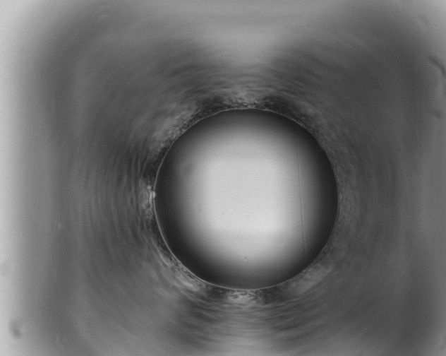 X0000102310624200808011604