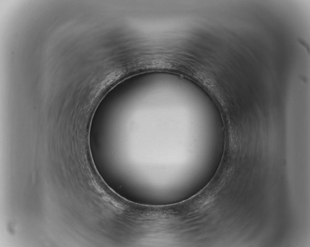 X0000102310625200808011603