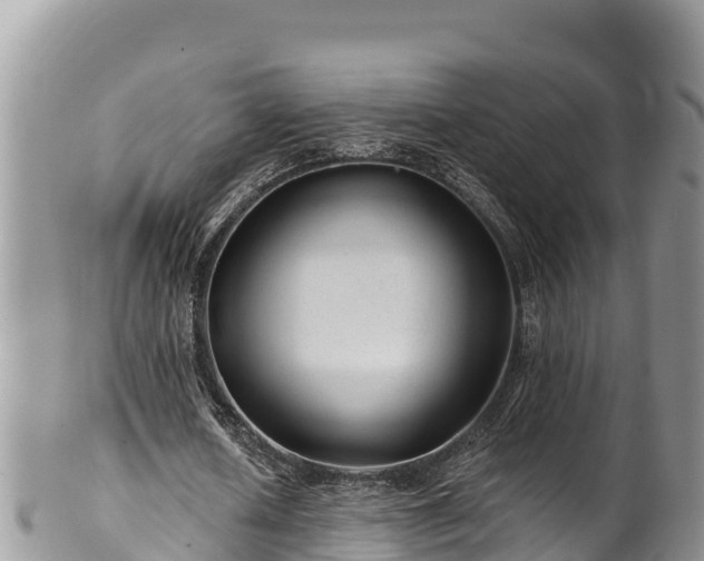 X0000102310626200808011603