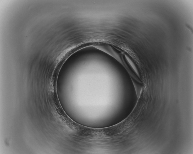 X0000102310628200808011603