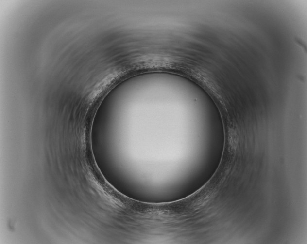 X0000102310629200808011603