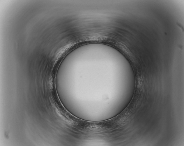 X0000102310632200808011603