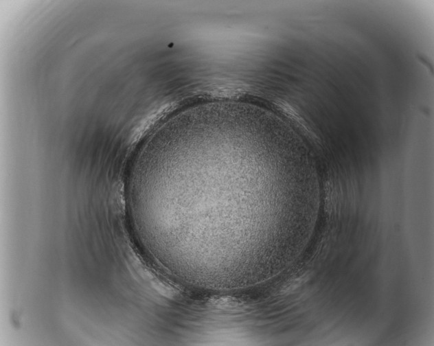 X0000102310634200808011603