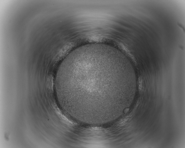 X0000102310637200808011603