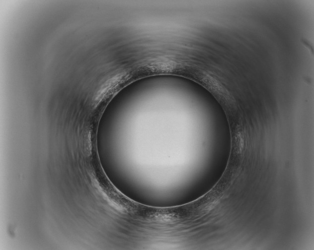 X0000102310638200808011603