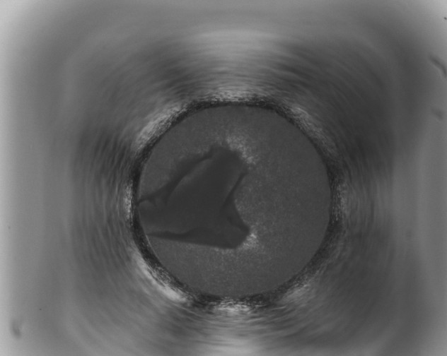 X0000102310640200808011603