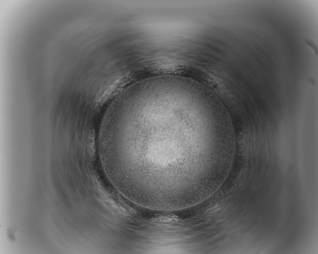 X0000102310642200808011603