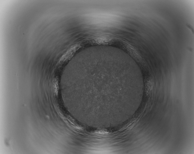 X0000102310644200808011603