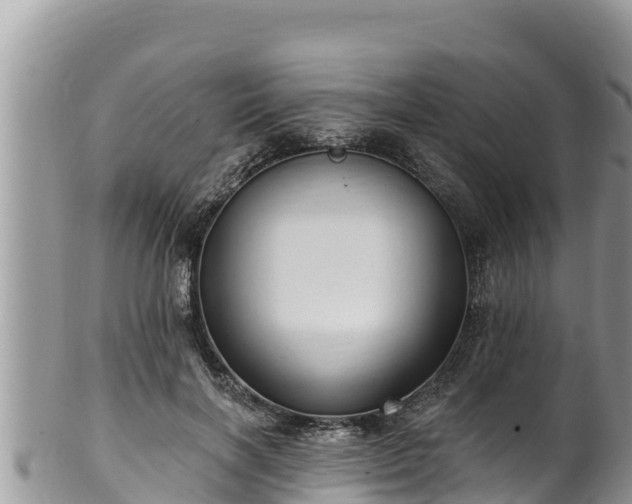 X0000102310646200808011604