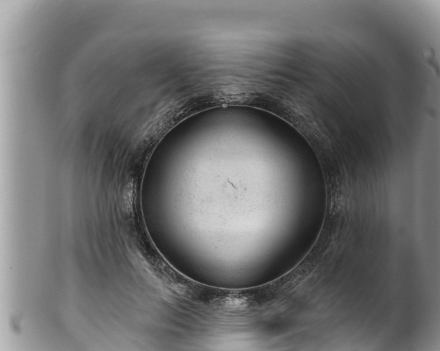 X0000102310647200808011604