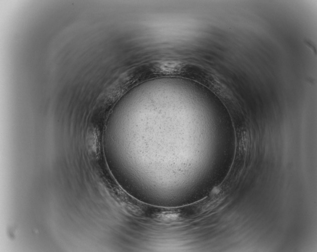 X0000102310651200808011604